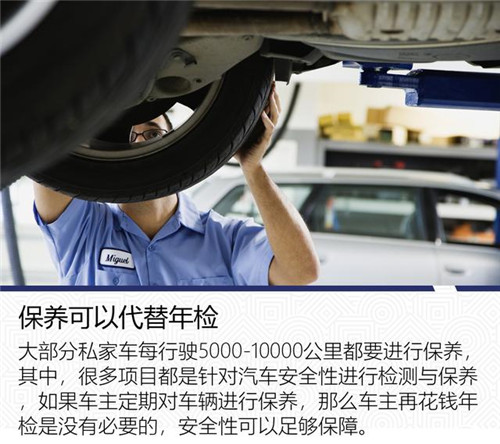 [交通知识]如何携带宠物自驾游